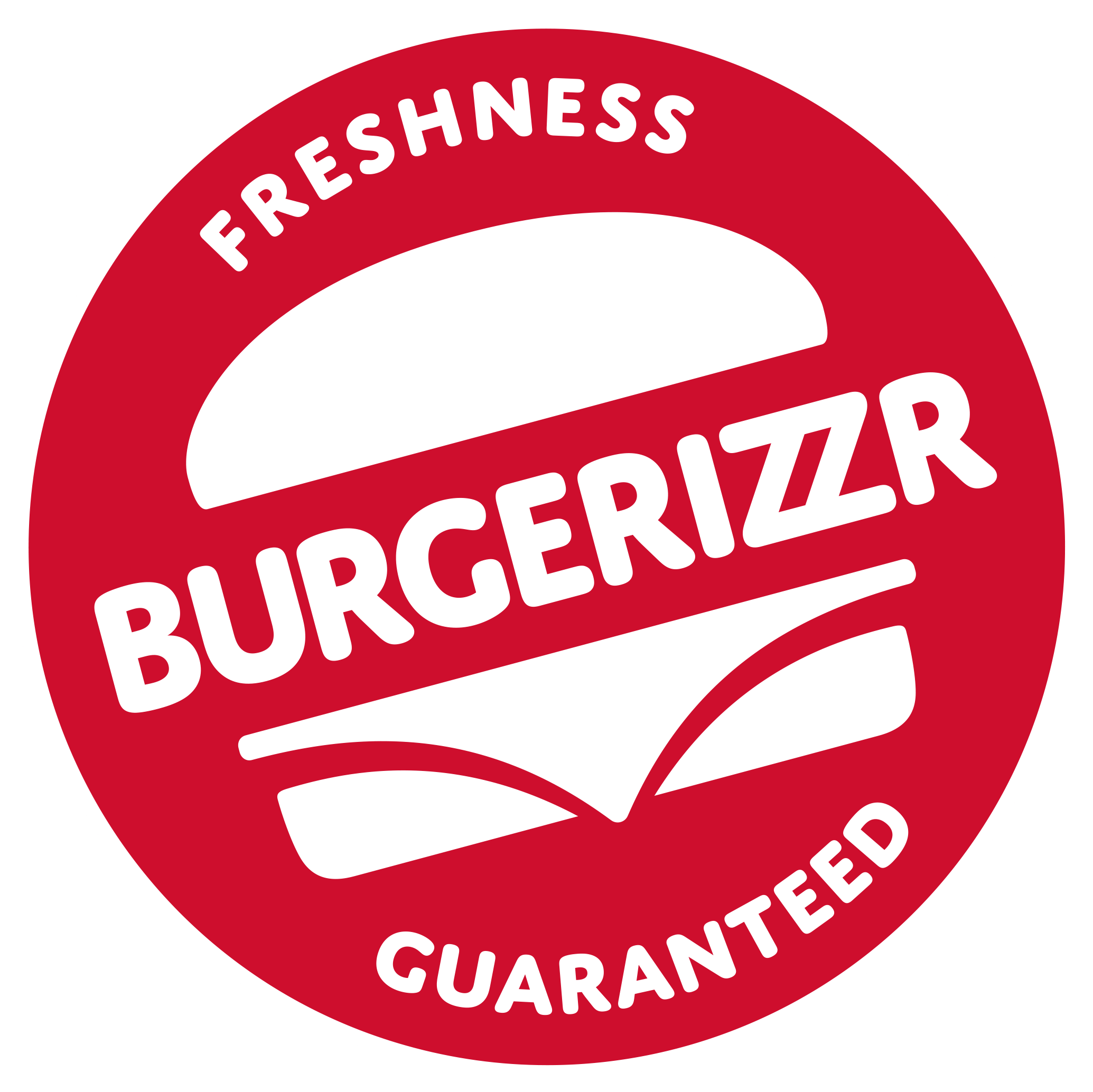 BURGERIZZR